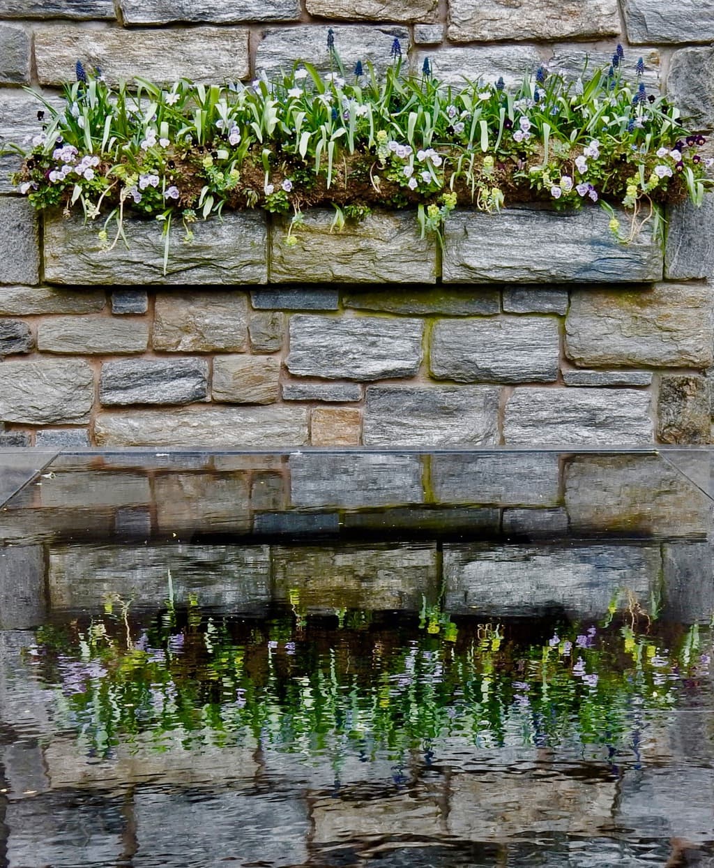 Reflections in "The Ruins" Chanticleer Garden Wayne PA