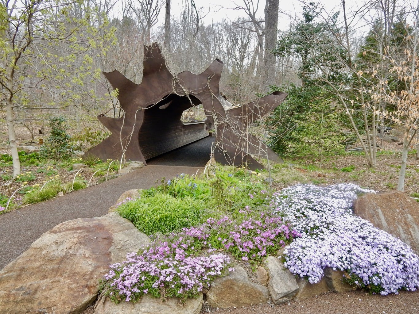 Fallen Tree Pedestrian Bridge Chanticleer Garden Wayne PA