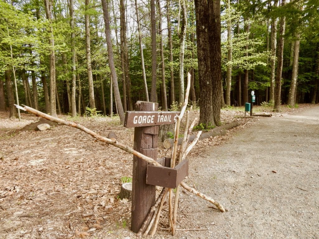 Walking Sticks Chesterfield Gorge NH