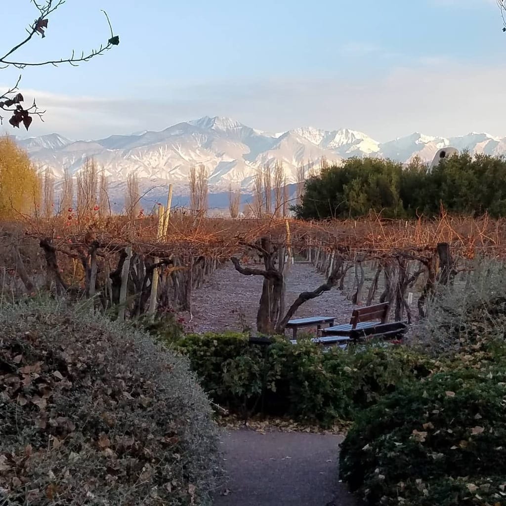 View of Andes from Cavas Wine Lodge