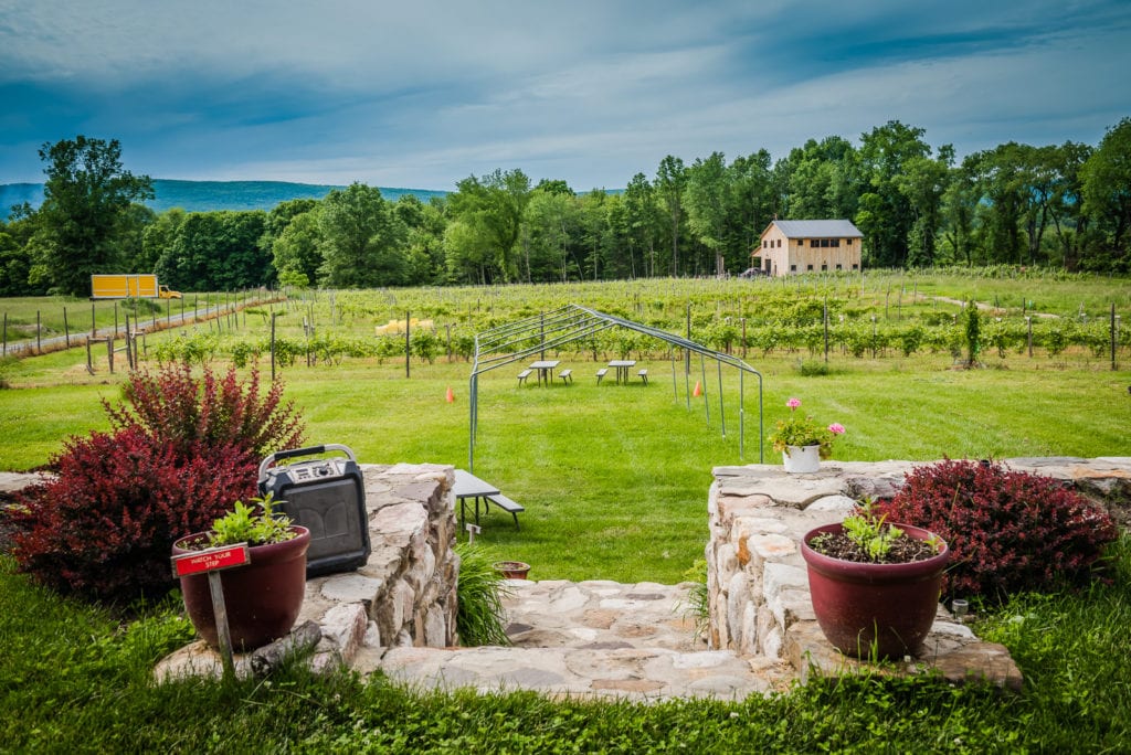 Stone steps lead to Christopher Jacobs vineyard.
