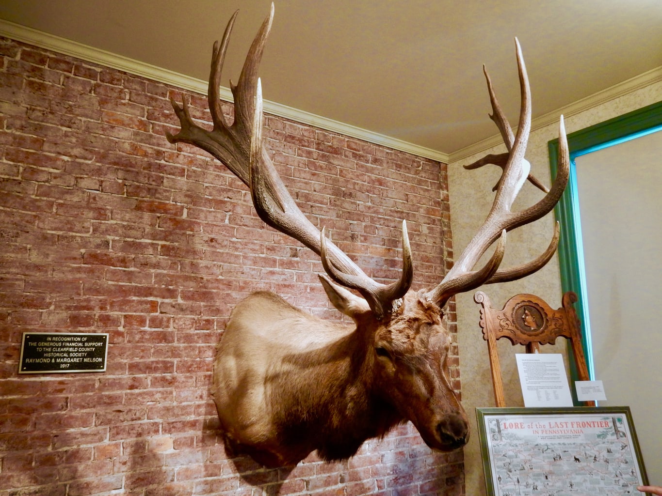 Poached Elk Mount Clearfield County Historical Society PA