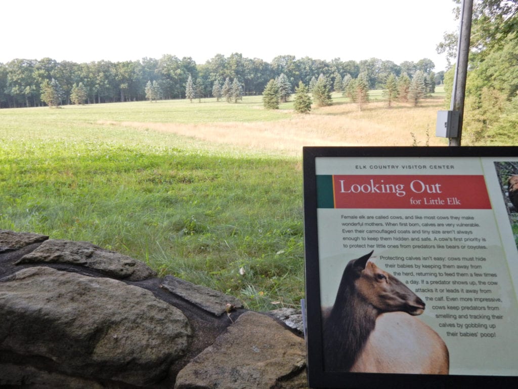 Elk Viewing Area, Elk County Visitors Center Benezette PA