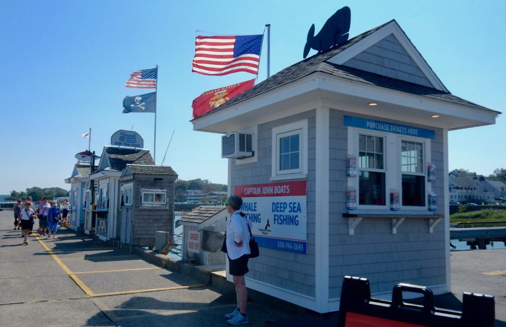 Whale Watching Tours Plymouth MA