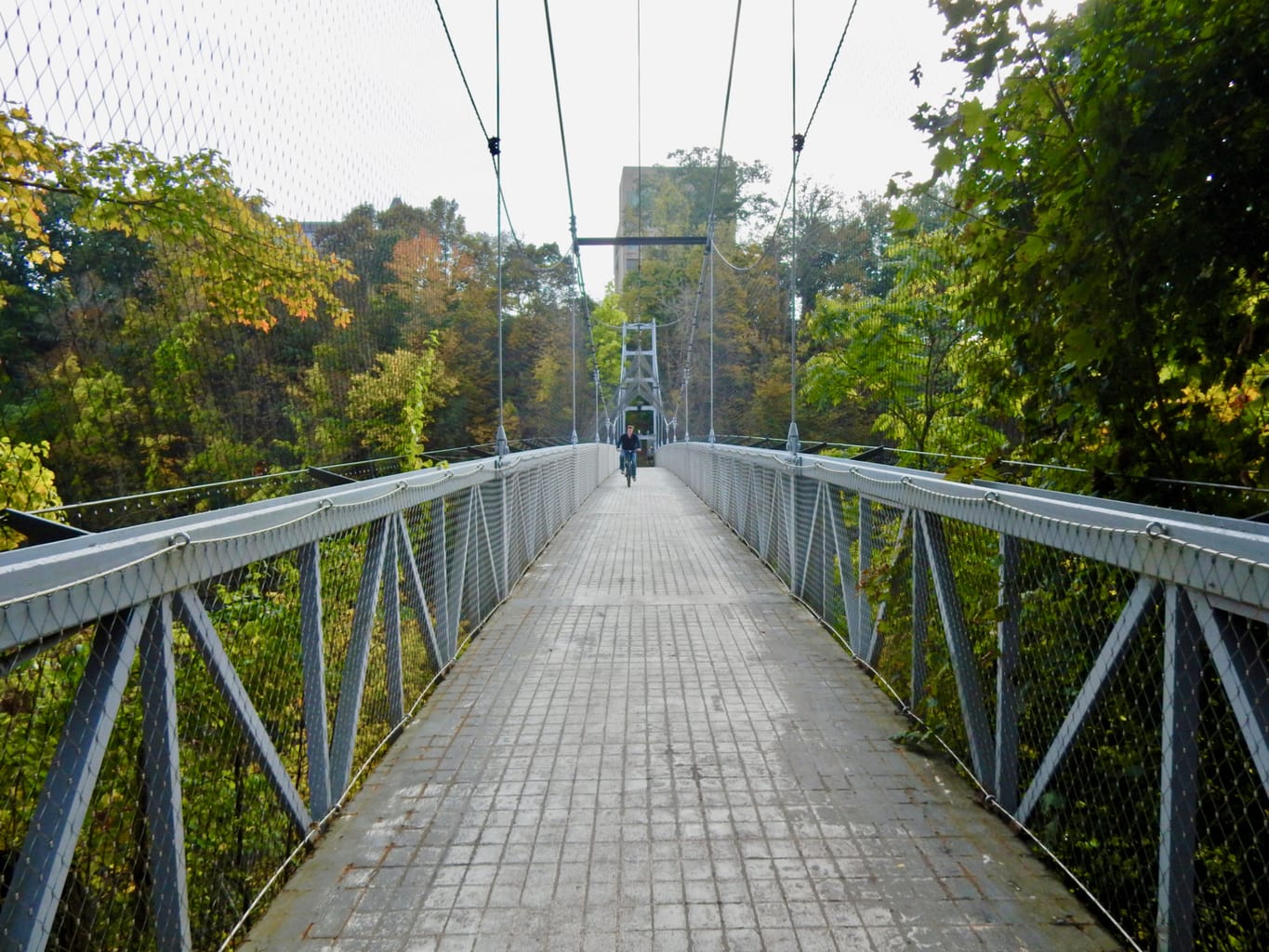 Cornell Height’s Suspension Bridge Ithaca NY