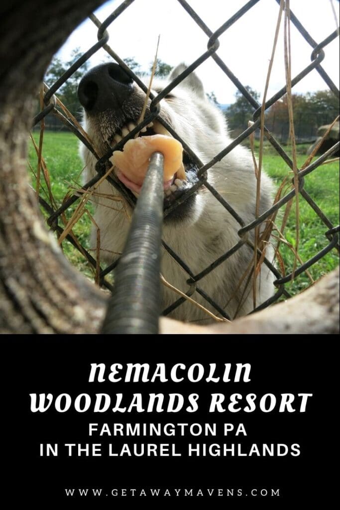 Nemacolin Woodlands Resort Pin