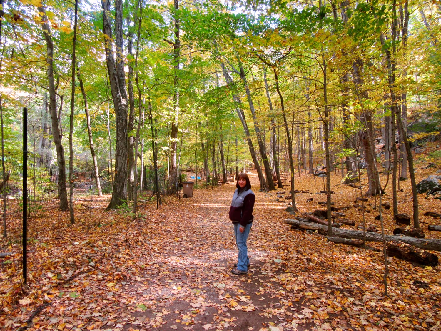 Hiking in Mianus River Park Stamford CT