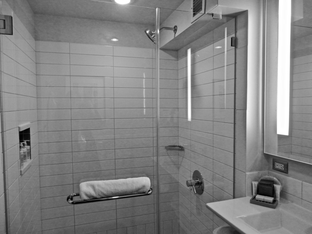 Subway Tile Glass Shower Hotel 48LEX NY NY