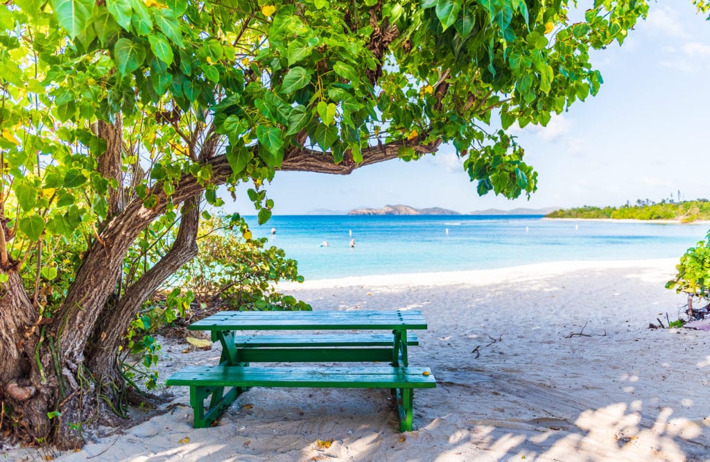 A green picnic table under a shady tree at Lindquist Beach in St. Thomas US Virgin Islands