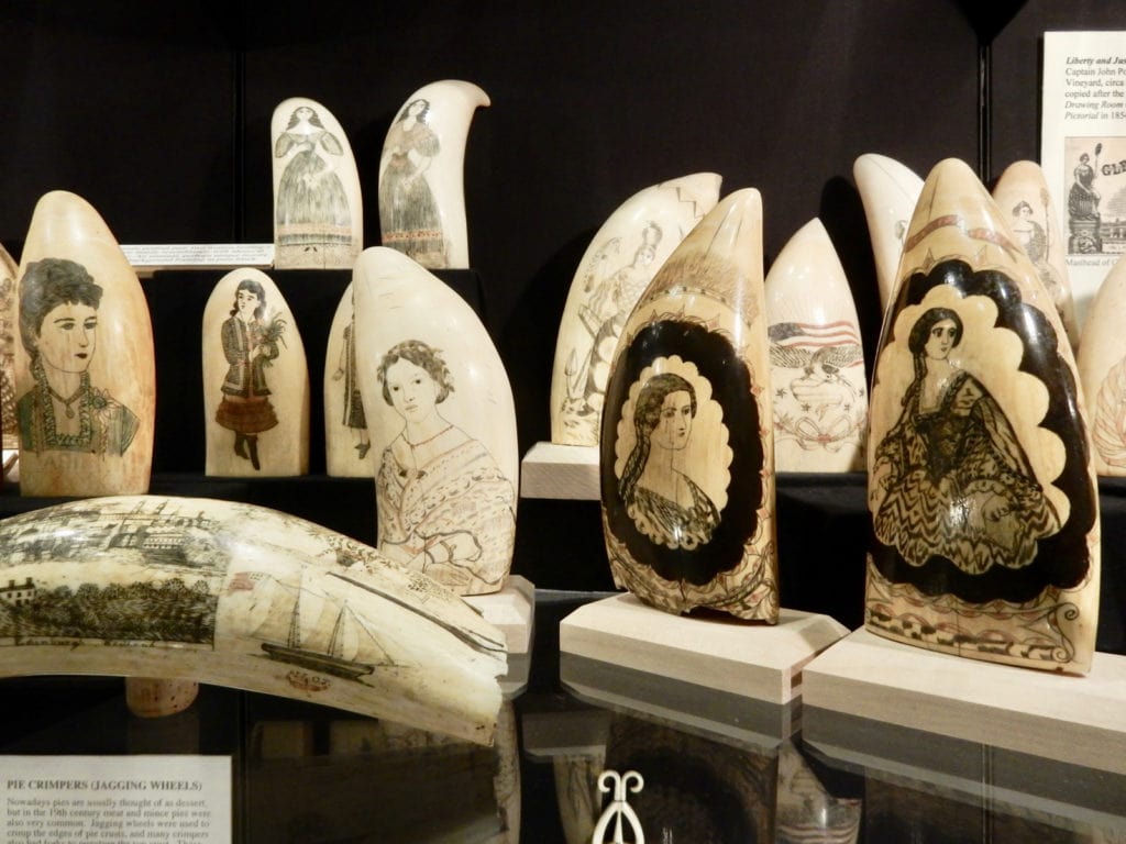 Scrimshaw New Bedford Whaling Museum MA