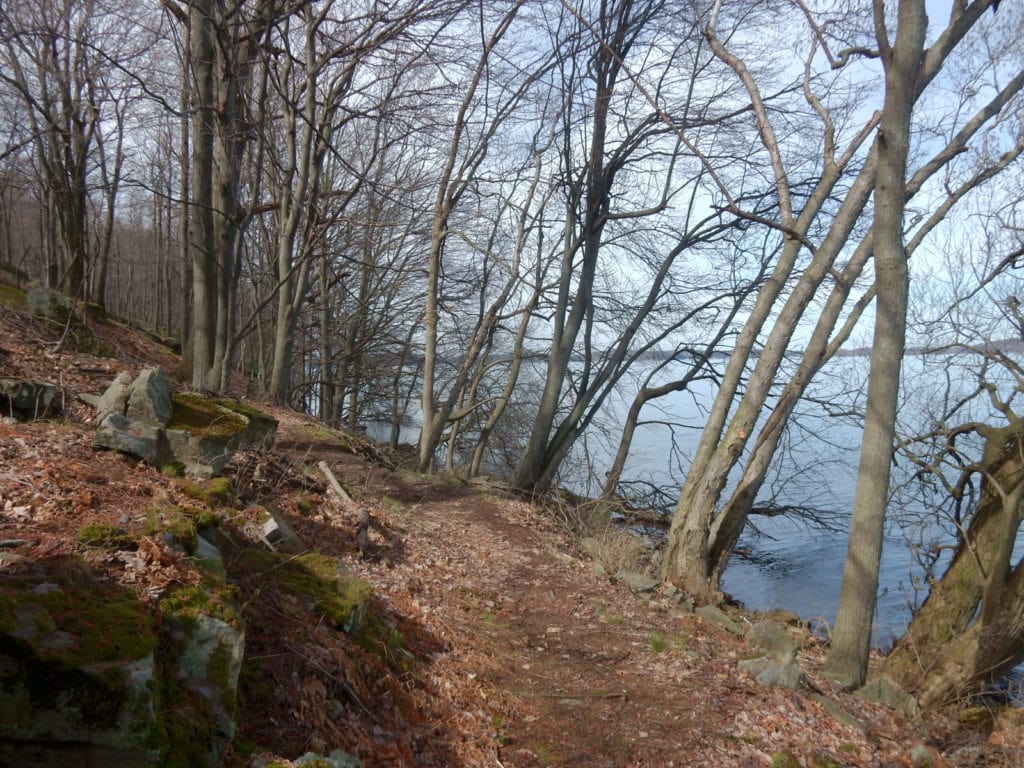 Waterfront Trail Minna Anthony Nature Center Wellesley Island NY