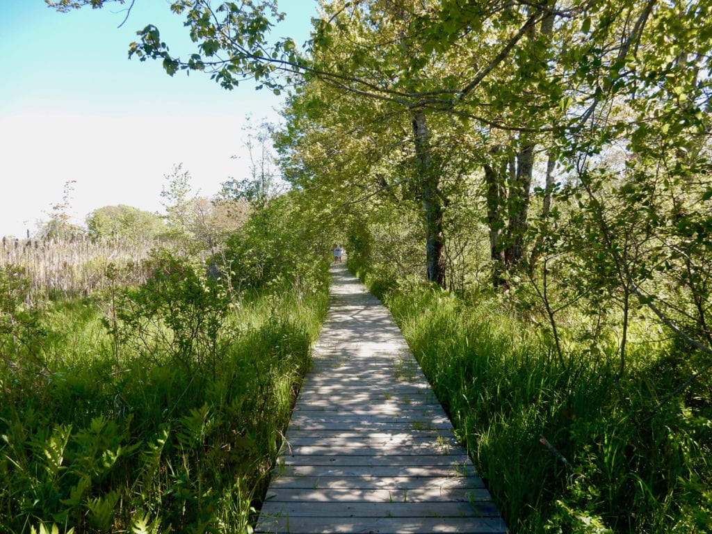 Boardwalk to beach Inn by the Sea Cape Elizabeth ME