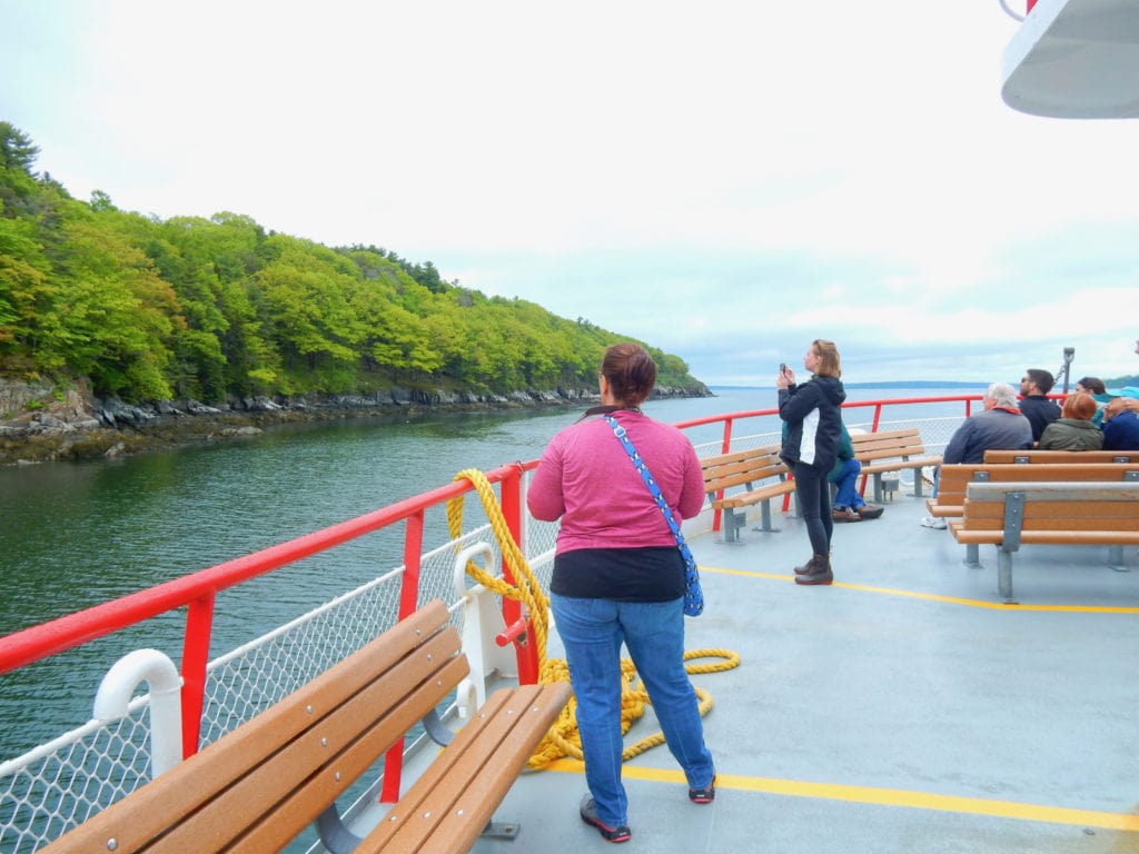 Eagle Sighting on Casco Bay Ferry Great Diamond Island ME