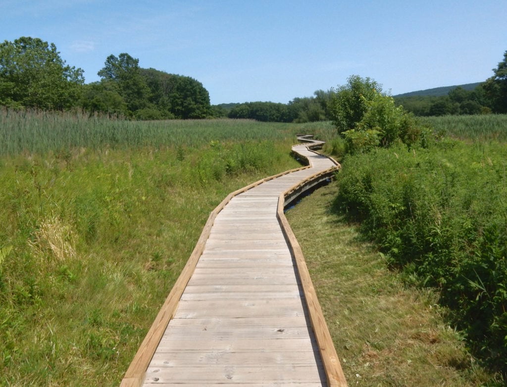 Appalachian Trail Boardwalk through marsh and fields in New Jersey