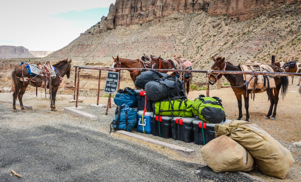 Backpacks ready to be carried to Havasu Falls by mule.