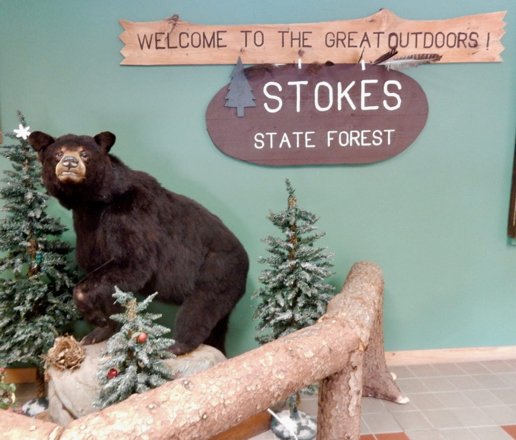 Mounted bear diorama at Stoke State Park NJ Office 