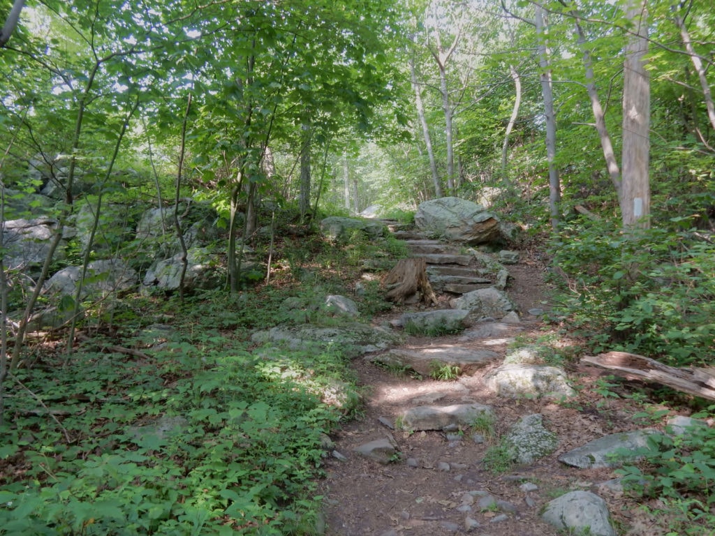 Rocky trail on the AT in New Jersey leads to Sunrise Mountain