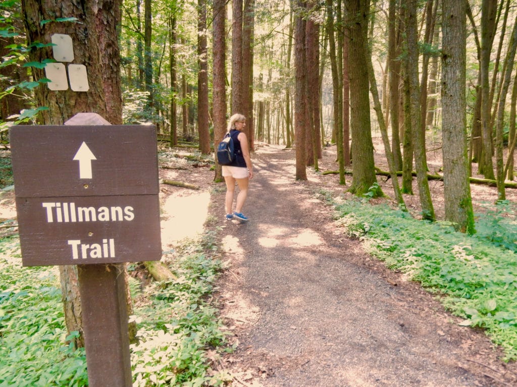 Tillmans Ravine Trail Stokes State Forest NJ