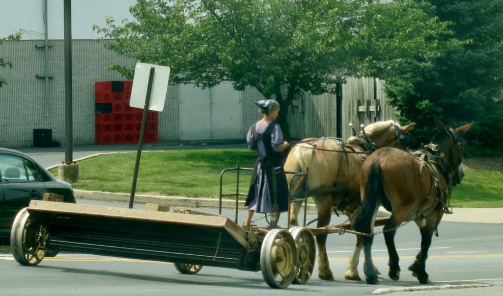 Amish-Girl-Driving-Work-Horses-PA