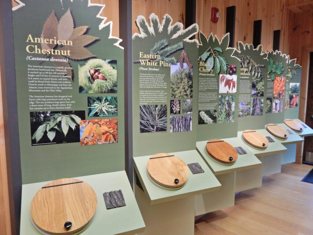 Panel depicting types of woods harvested in PA at PA Lumber Museum