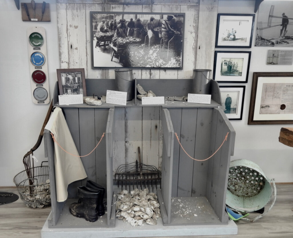 Oystering Exhibit Bowers Beach Maritime Museum DE