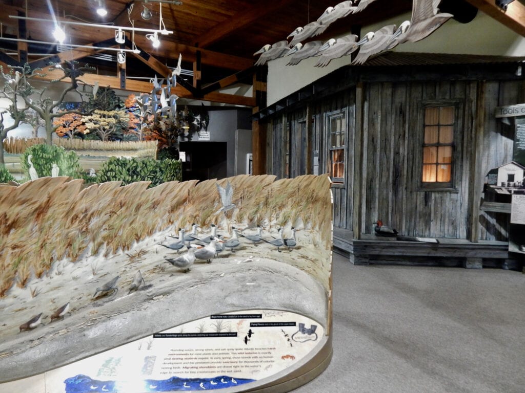 Exhibit Eastern Shore Virginia National Refuge Visitors Center