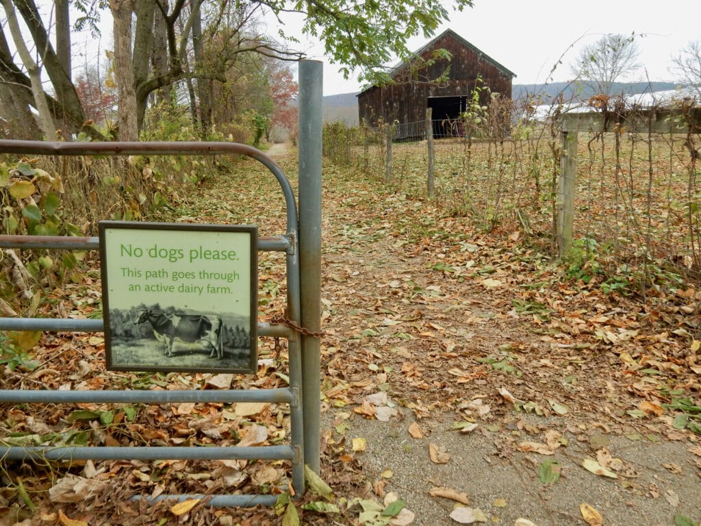 Channing-Blake Footpath Deerfield MA