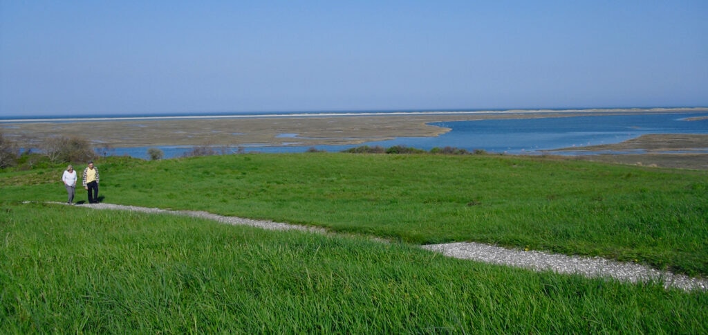 Fort Hill Trail Eastham Cape Cod MA