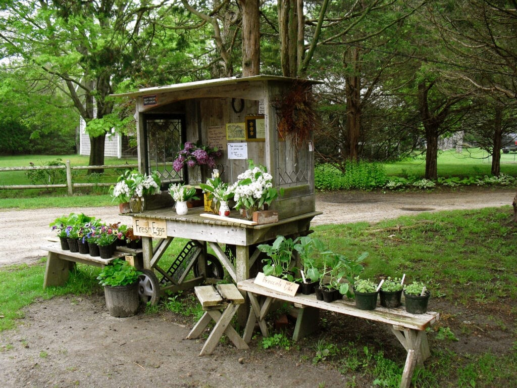 Roadside Stand Cape Cod MA