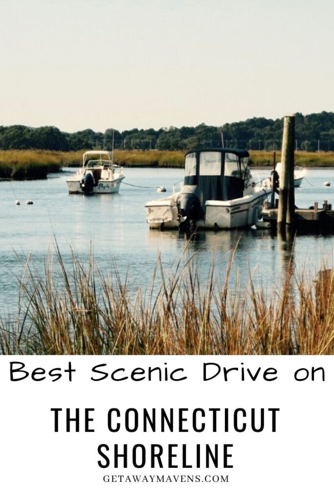 CT Scenic Shoreline Pin