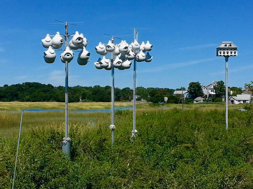 Birdhouses at Coastal Center at Milford Point CT