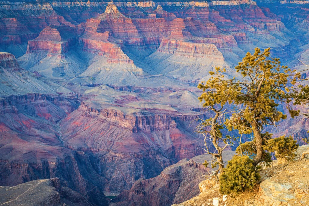 Grand Canyon South Rim