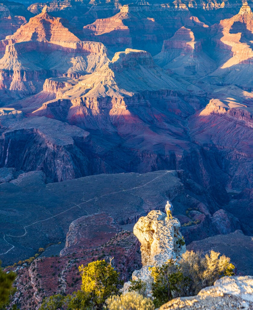 Sole male stands on peak under setting sun over Grand Canyon South Rim.