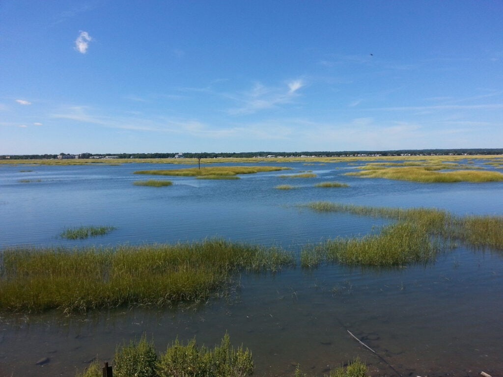 Milford CT mudflats