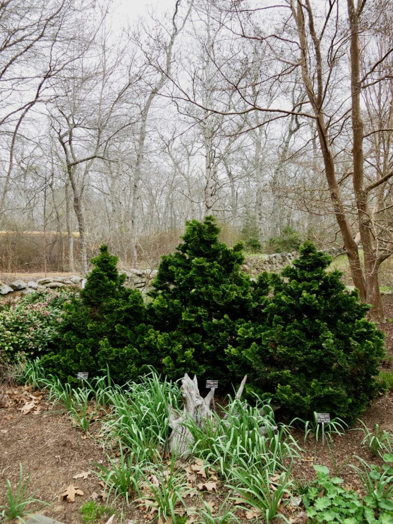 Polly Hill Arboretum Marthas Vineyard MA