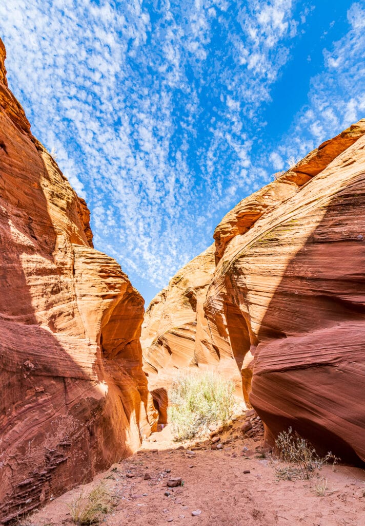 Lower Antelope Slot Canyon in Page Arizona