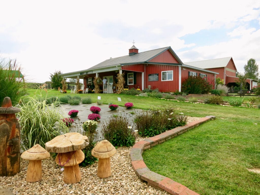 White Oak Lavender Farm VA