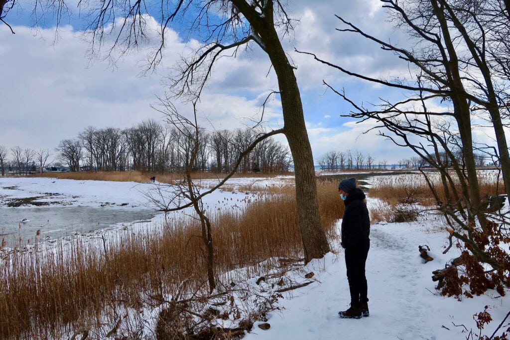 Marshland Conservancy hiking paths in snow Rye NY