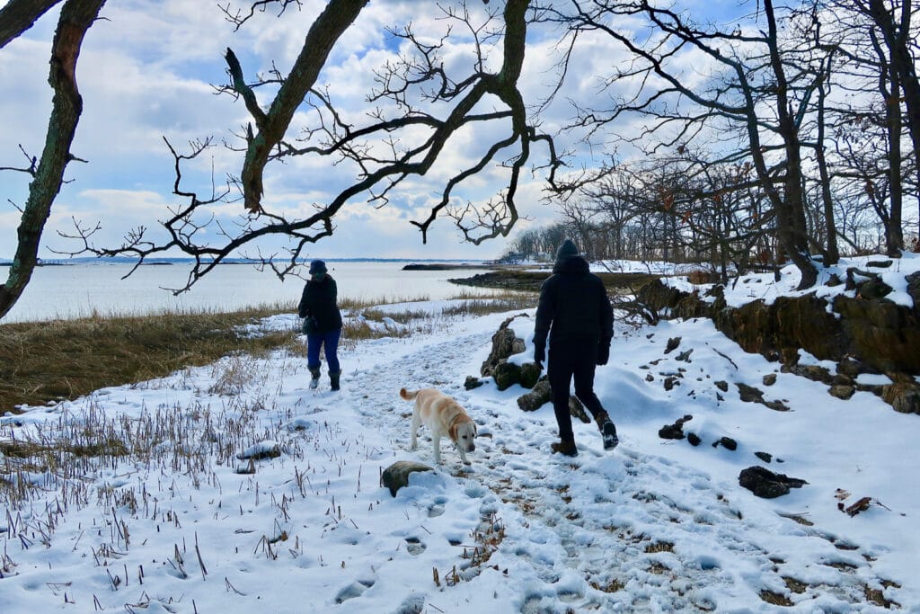 Marshland Conservancy in winter along shoreline Rye NY