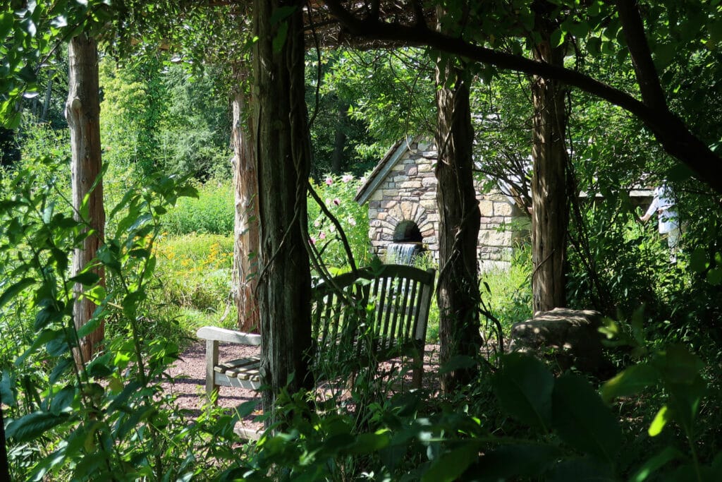 The Pond Bowmans Hill Wildflower Preserve Bucks County PA