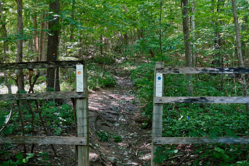 Trailhead Stissing Fire Tower Trail Pine Plains NY