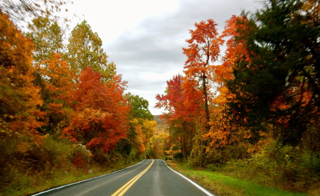 Massachusetts road for Fall Foliage