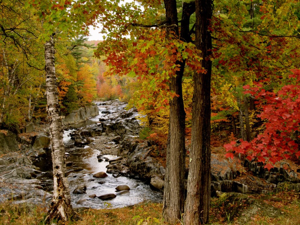 New England Fall Foliage