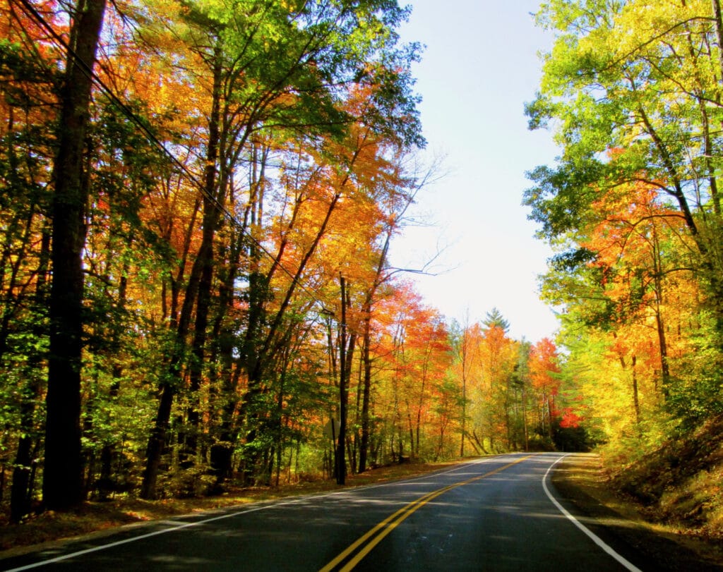 New England road in Fall