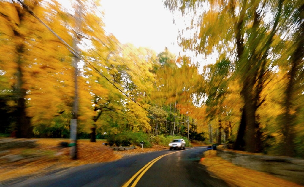 CT road in fall season