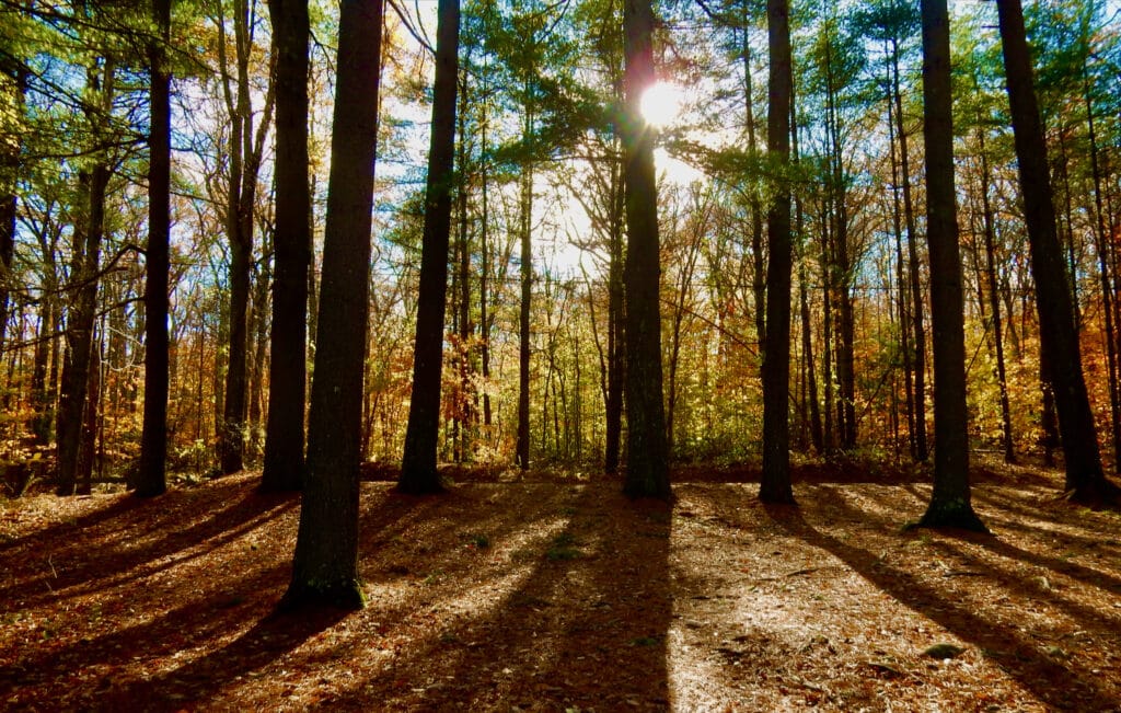 Spooky CT State Parks