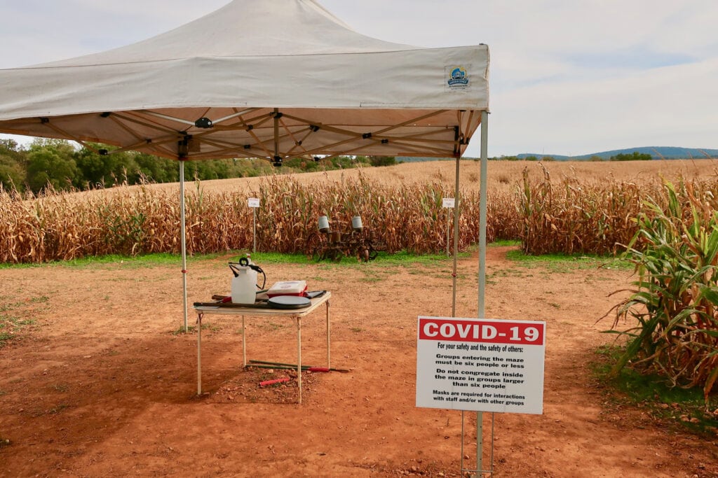 Corn-Maze-Entrance-Liberty-Mills-Farm-VA