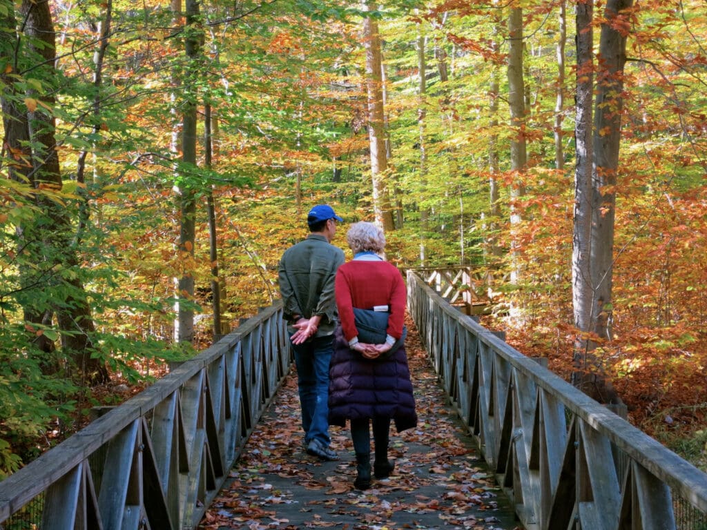 Connecticut hikes in fall.