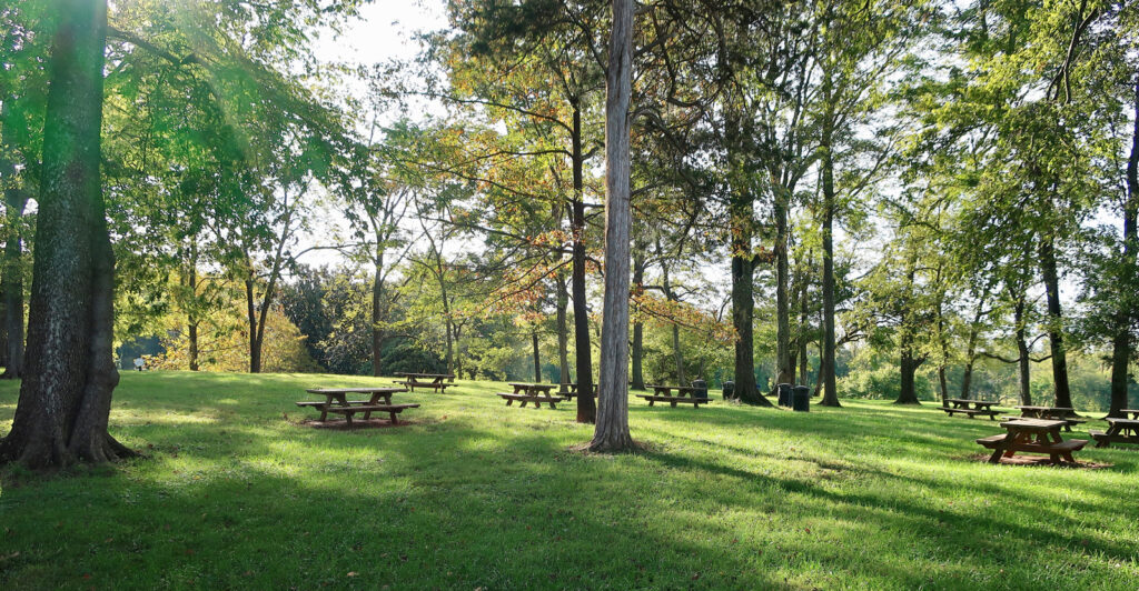 Montpelier-Picnic-Area-Orange-VA