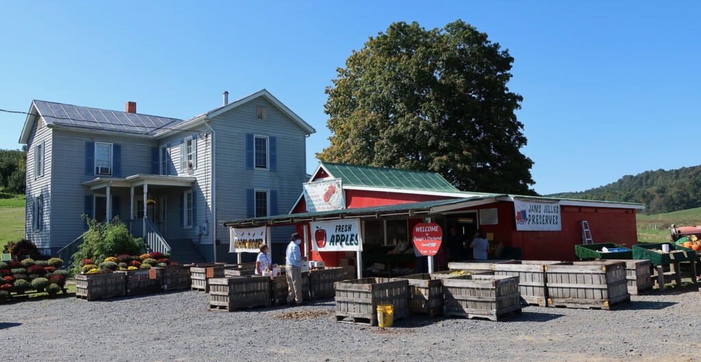 Paughs-Orchards-Quicksburg-VA